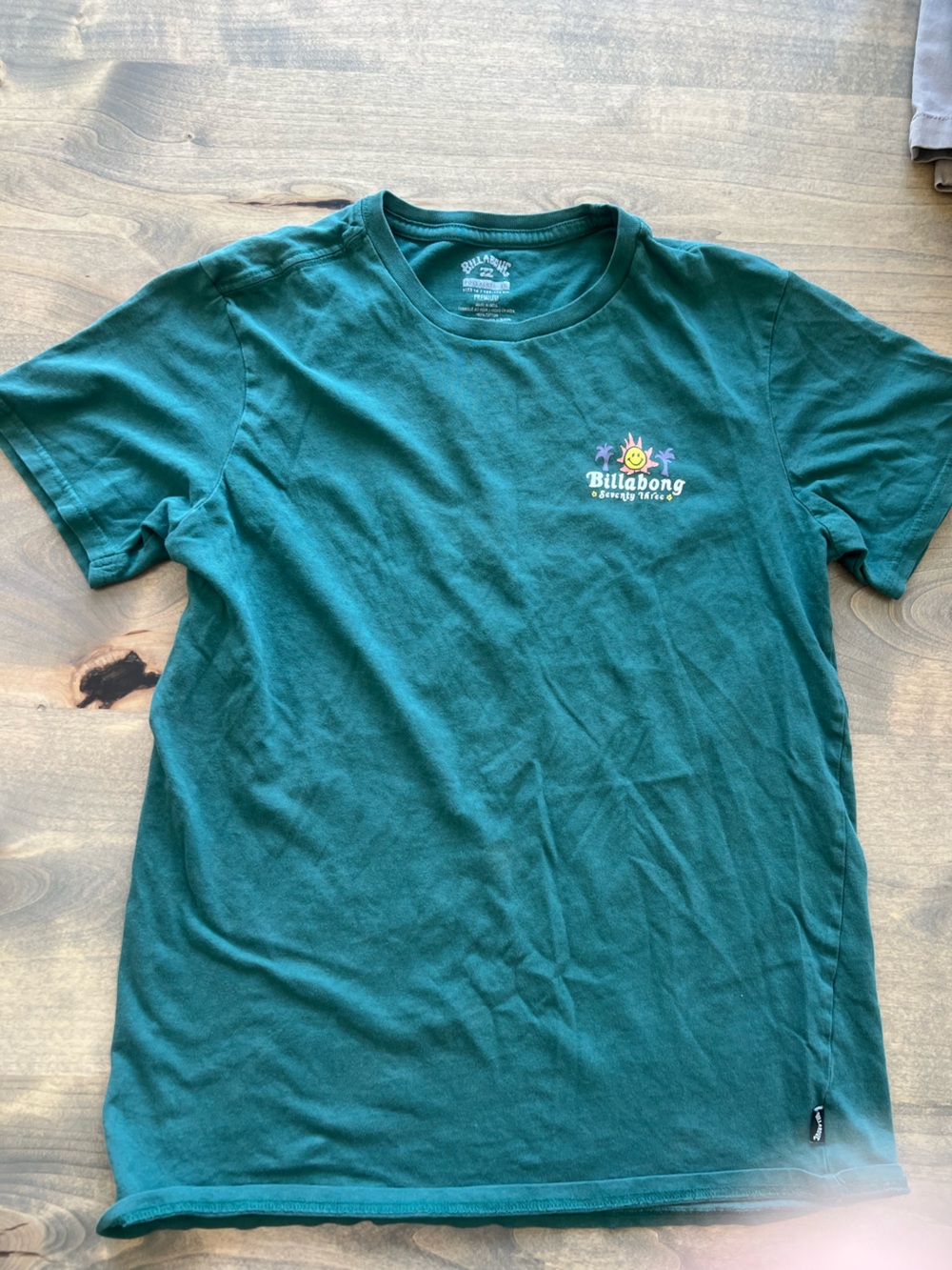 Hollister Teal Crewneck Logo T-Shirt